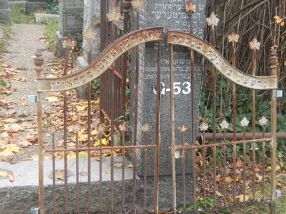 7208496.jpg