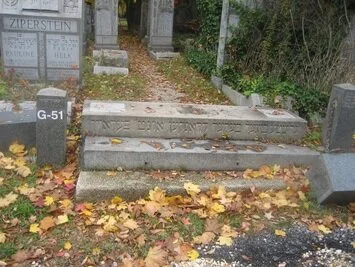 5770303.jpg