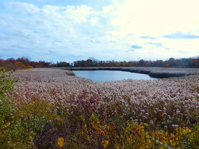 Season 1, Episode 16: The Ridgewood Reservoir