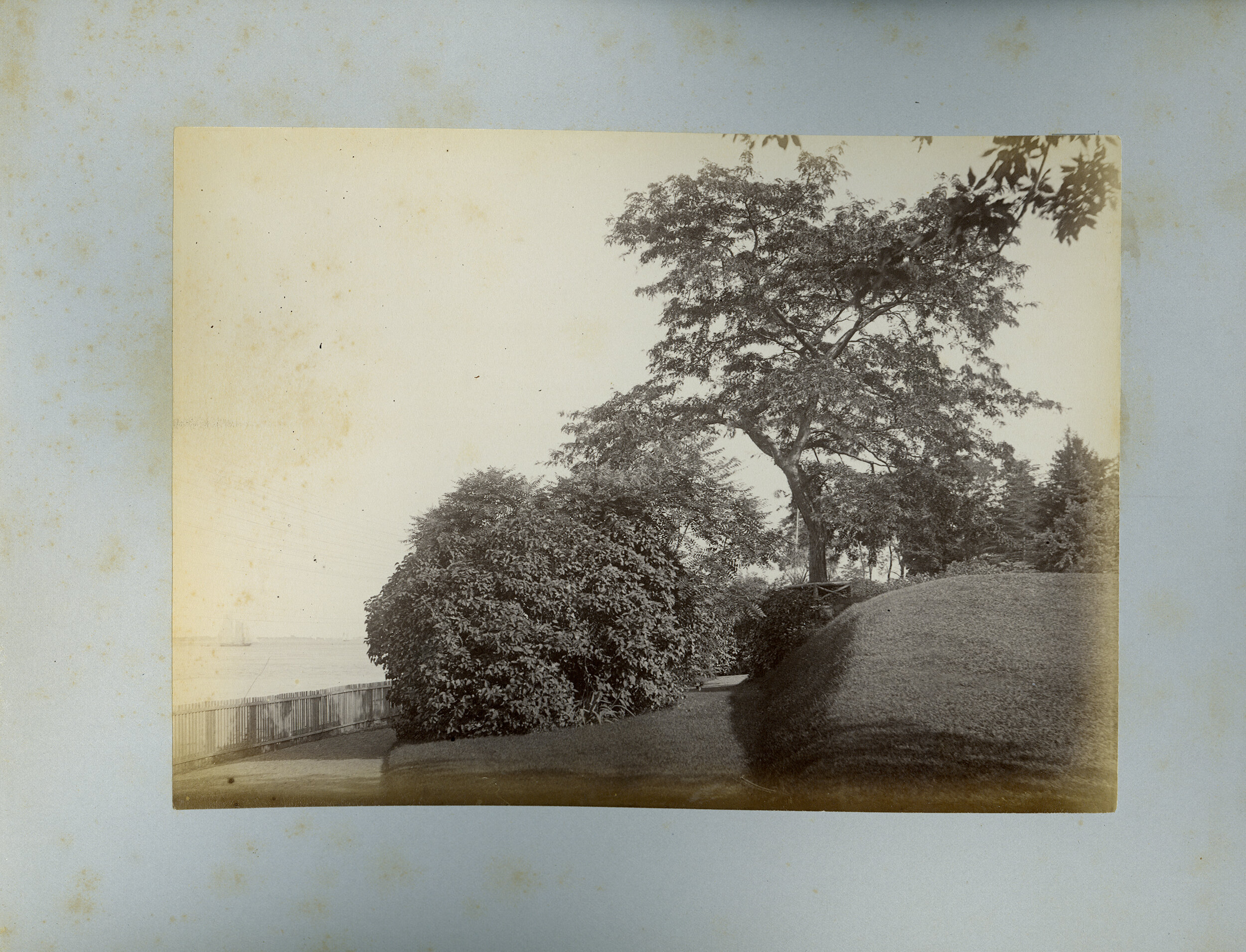   Front walk &amp; tree from gate, August 8, 1887  Collection of Historic Richmond Town, 50.015.7535.015 