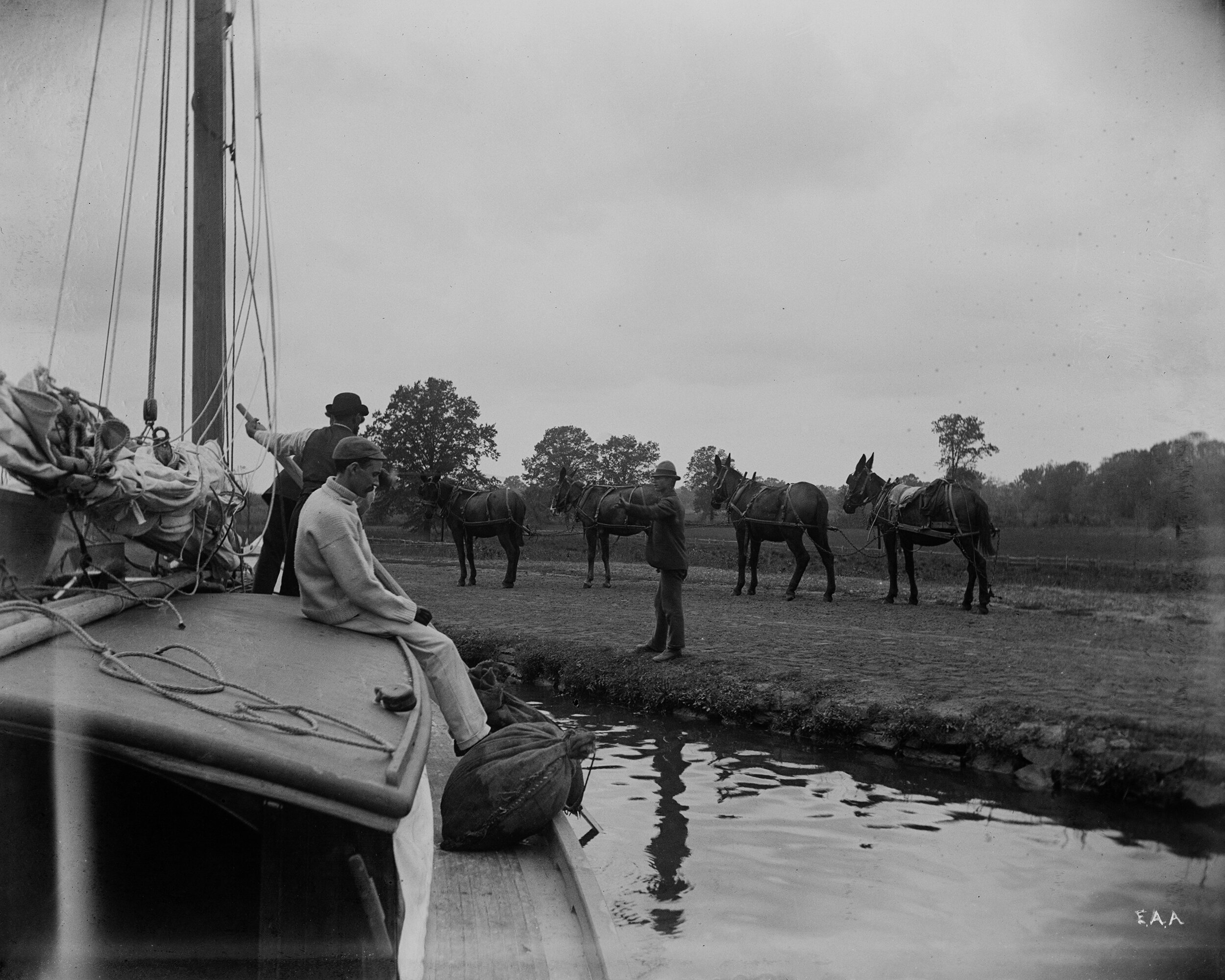   Four mules &amp; Wabun, October 18, 1892  Collection of Historic Richmond Town, 50.015.6192 