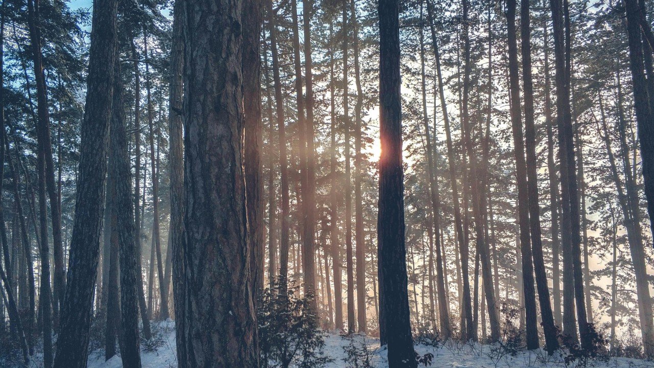 From KPIs to Learning Signals: Measuring AI Evolution