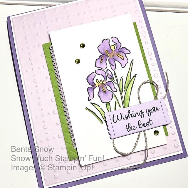 Maine Stampers March Facebook Hop: 2nd Sale-a-Bration Release. One of my favorite items is the So Very Vellum Specialty Designer Series Paper. With 2 sheets each of Pool Party, Purple Posy and Soft Sea Foam it is perfect for any kind of Spring projec