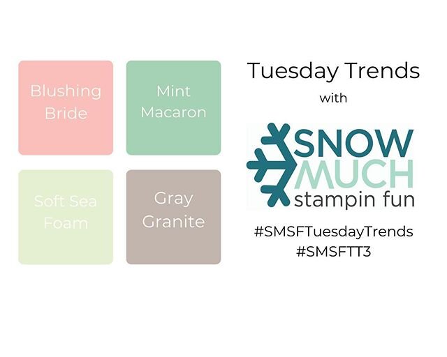 Time for another Tuesday Trends with Snow Much Stampin Fun!

Just for fun make a project using these colors plus neutrals like white or vanilla are allowed too. Feel free to share your project using these hashtags on social media. 
#SMSFtuesdaytrends