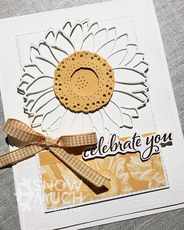 The Maine Stampers Facebook Hop is Live tonight. Here is my contribution using the Celebrate Sunflowers Bundle! It is one of two cardkits I send to you when you spend $35 in my store with my June Hostess code. It was inspired by all the wild daisies 