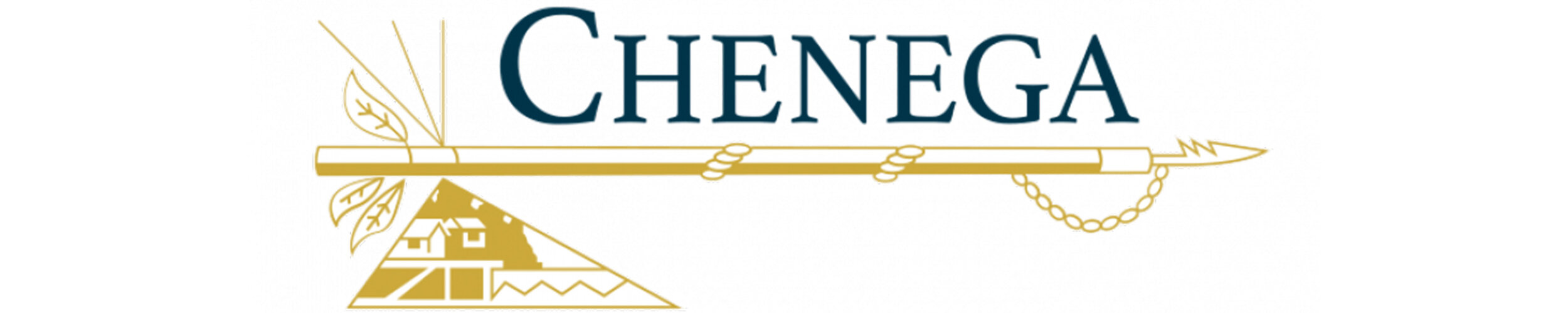 chenega logo.jpg