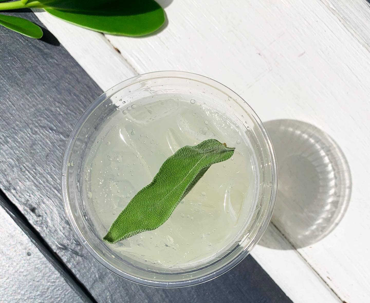 Meet the Sage Lemon Soda! With fresh lemon juice and soda water, it&rsquo;s cool and refreshing.  Paired with our house made sage simple syrup, it conjures up visions of seasonal gourds and low humidity. 

You can order the Sage Lemon Soda starting t