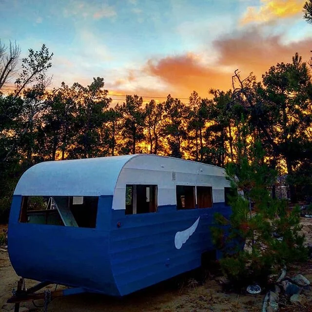 1956 Terry vintage trailer for sale! ✌️
Send us a DM if you're interested