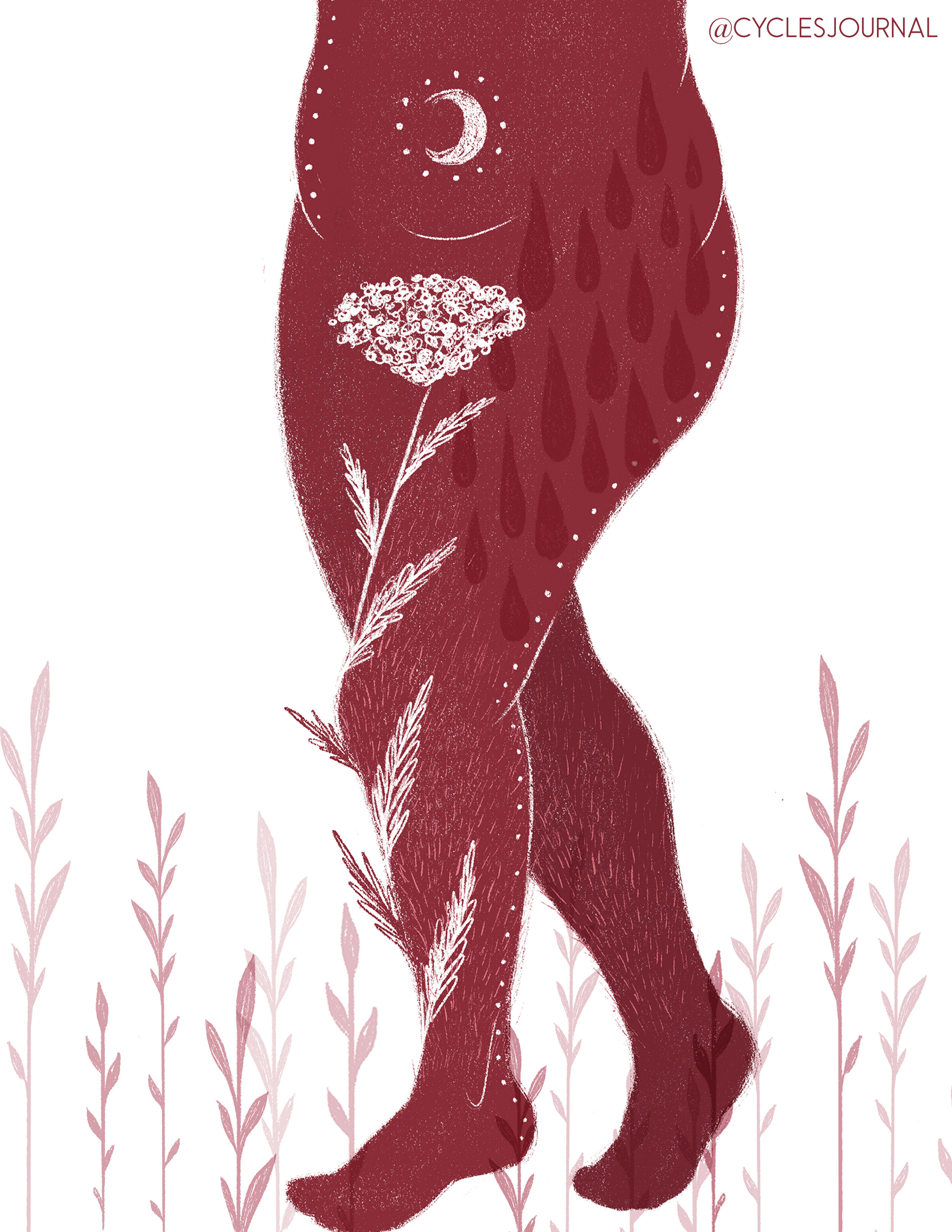 © illustration by Rachael Amber for Cycles Journal - share for non-promotional purposes with credit attached. Inquire at cyclesjournal@gmail.com for licensing permissions.