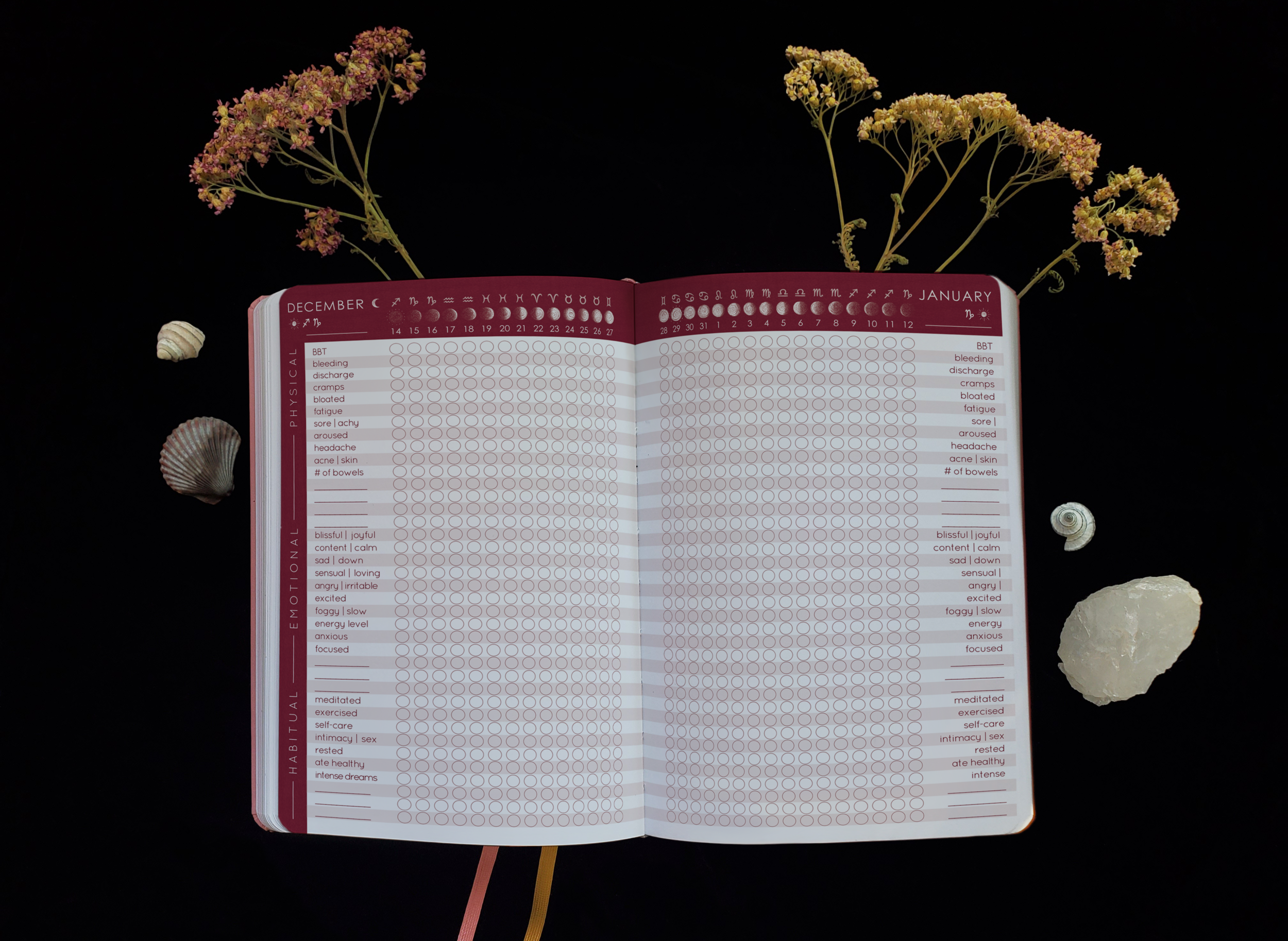 Mockup2_Monthly.png