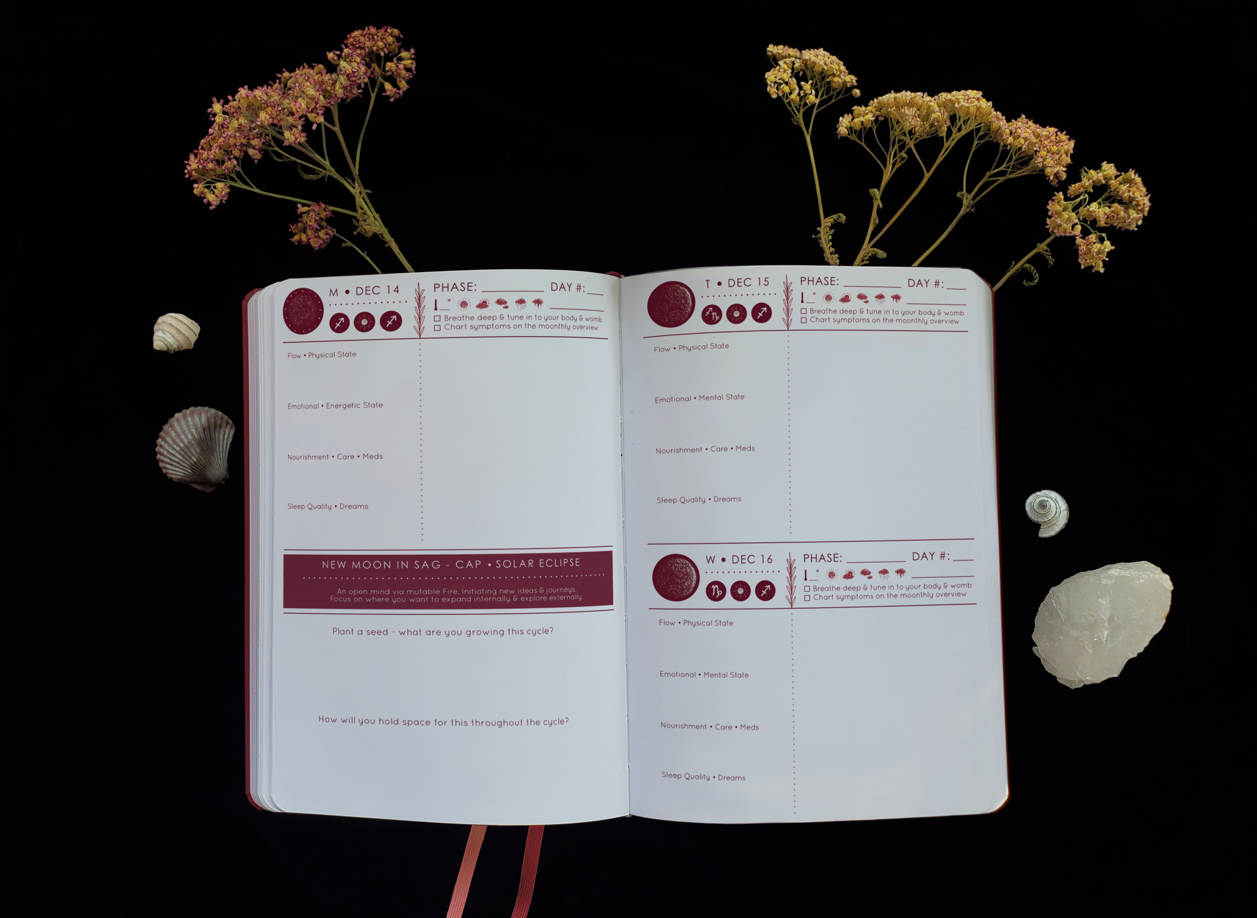 Mockup2_Daily2_Edit.png