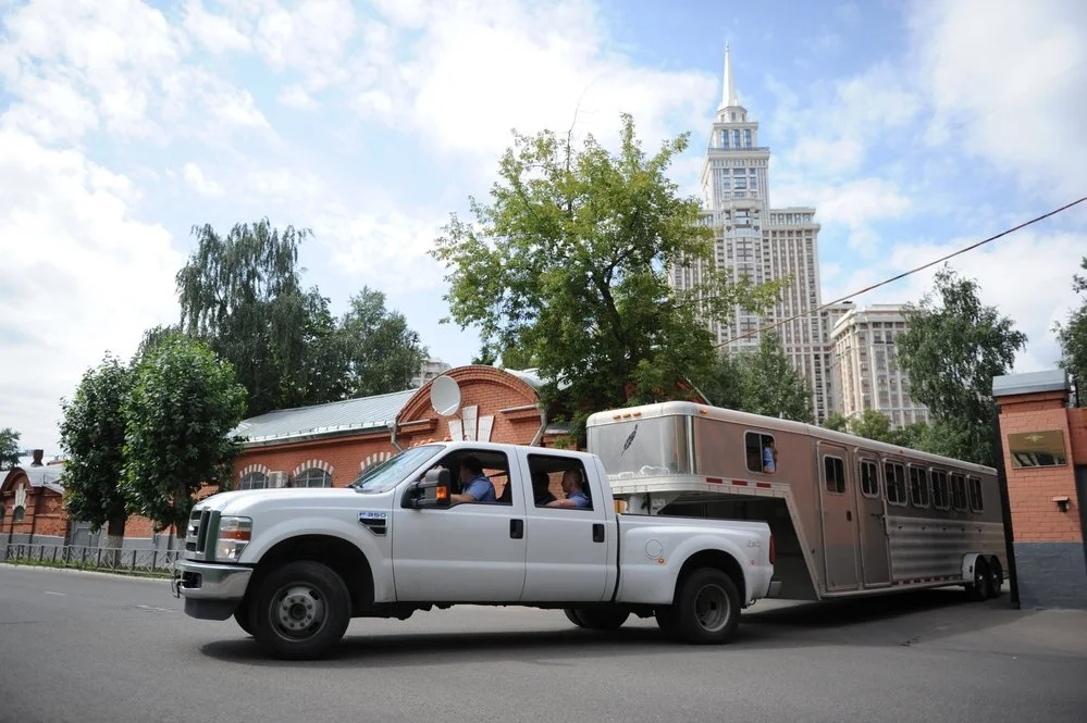 Towing A Horse Trailer Can Be Tricky Stauffer's Towing