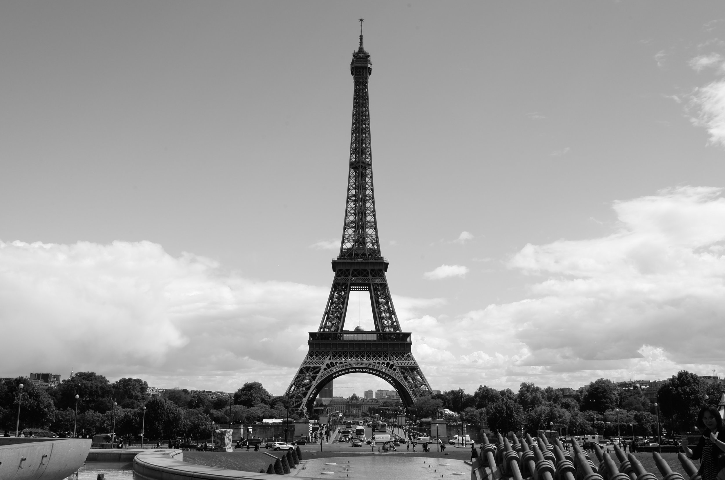L1001959.jpeg