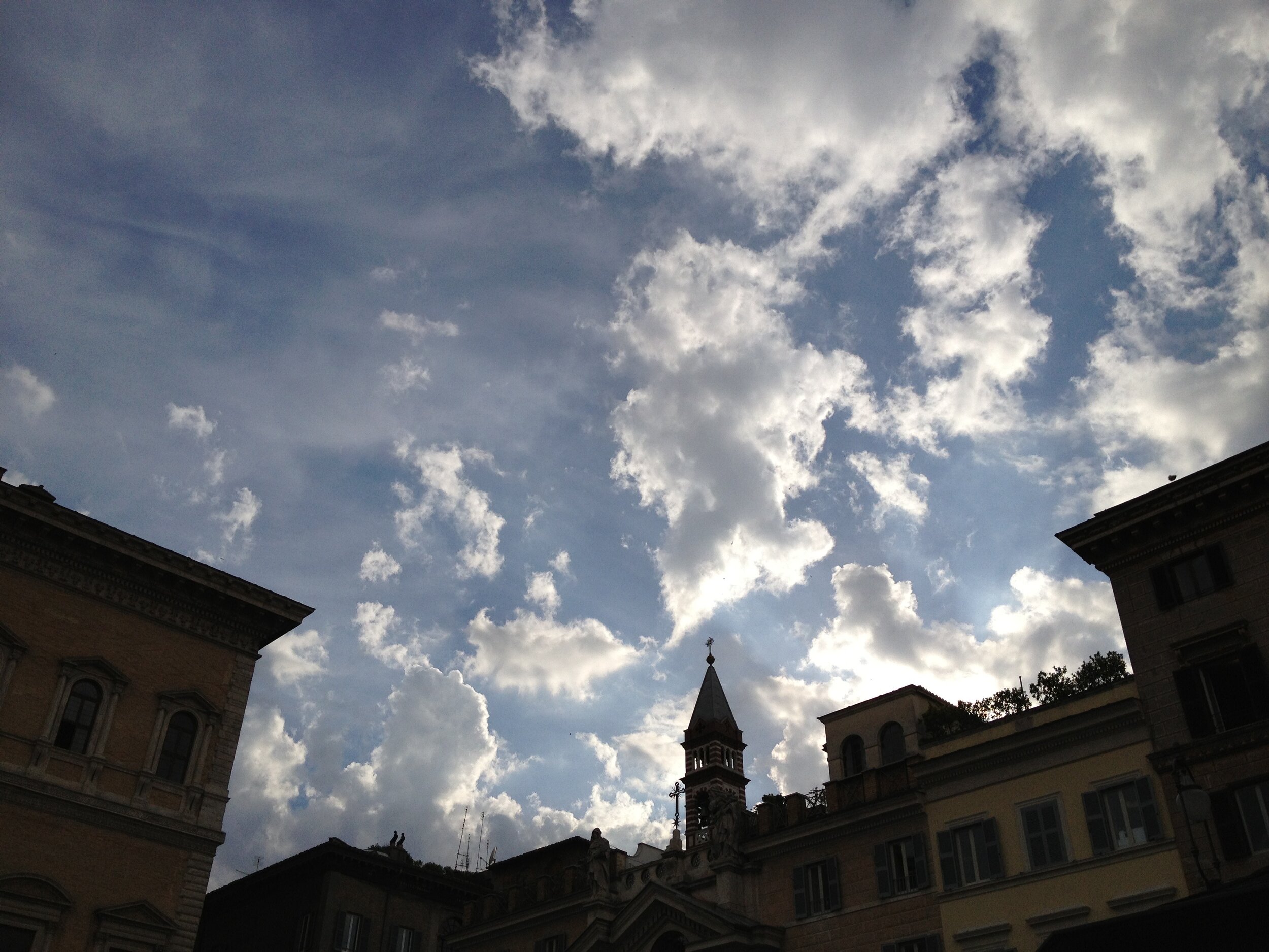 IMG_1150.jpeg