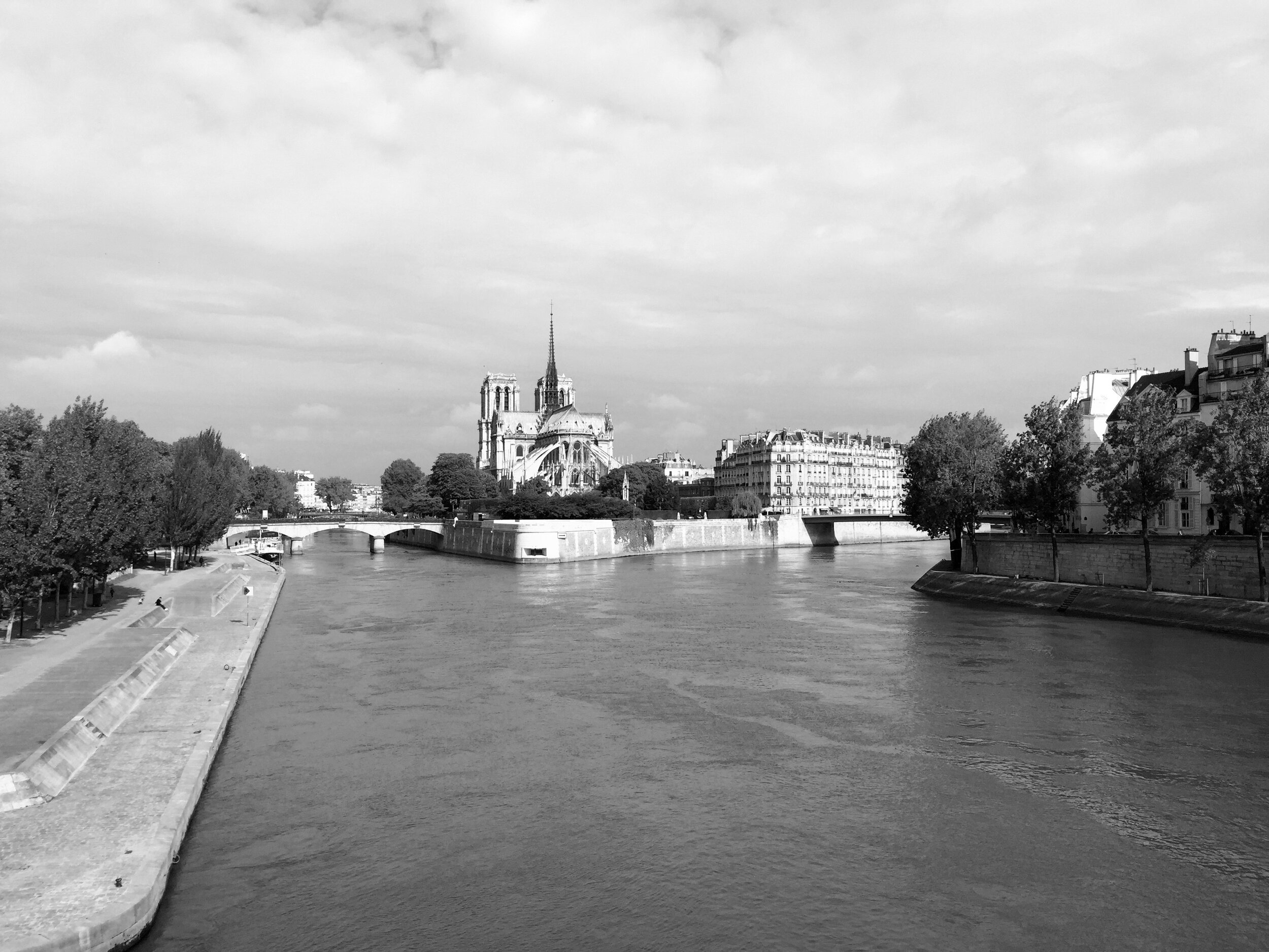 IMG_2504.jpeg