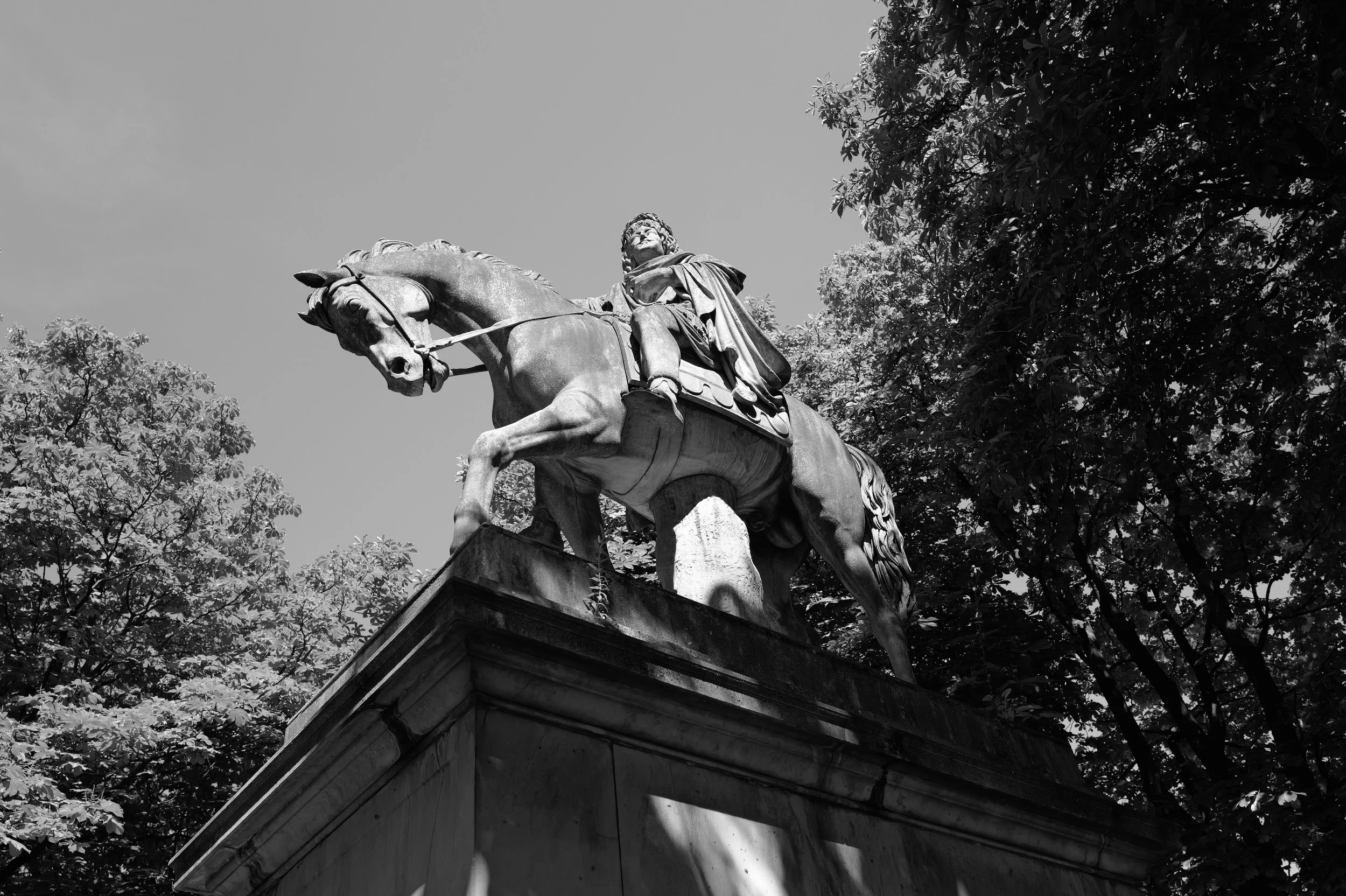 L1001545.JPG