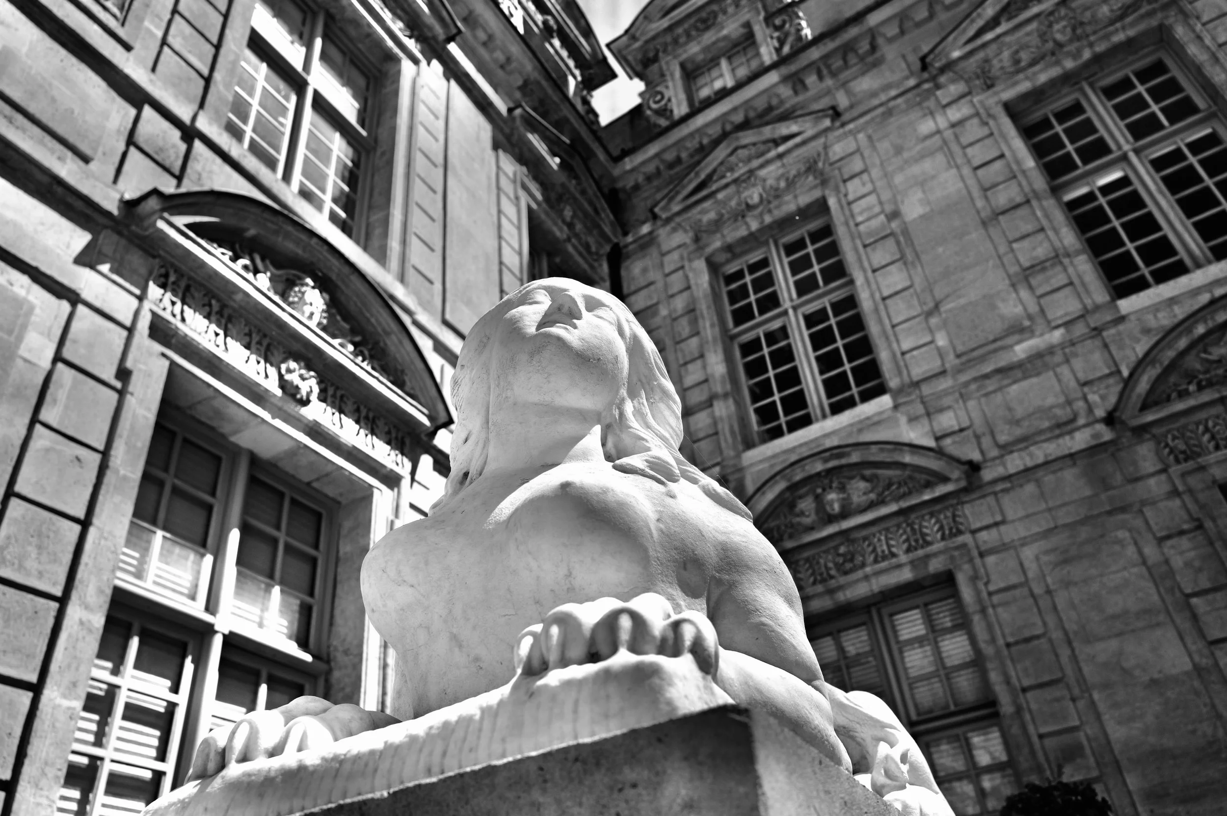 L1001558.JPG