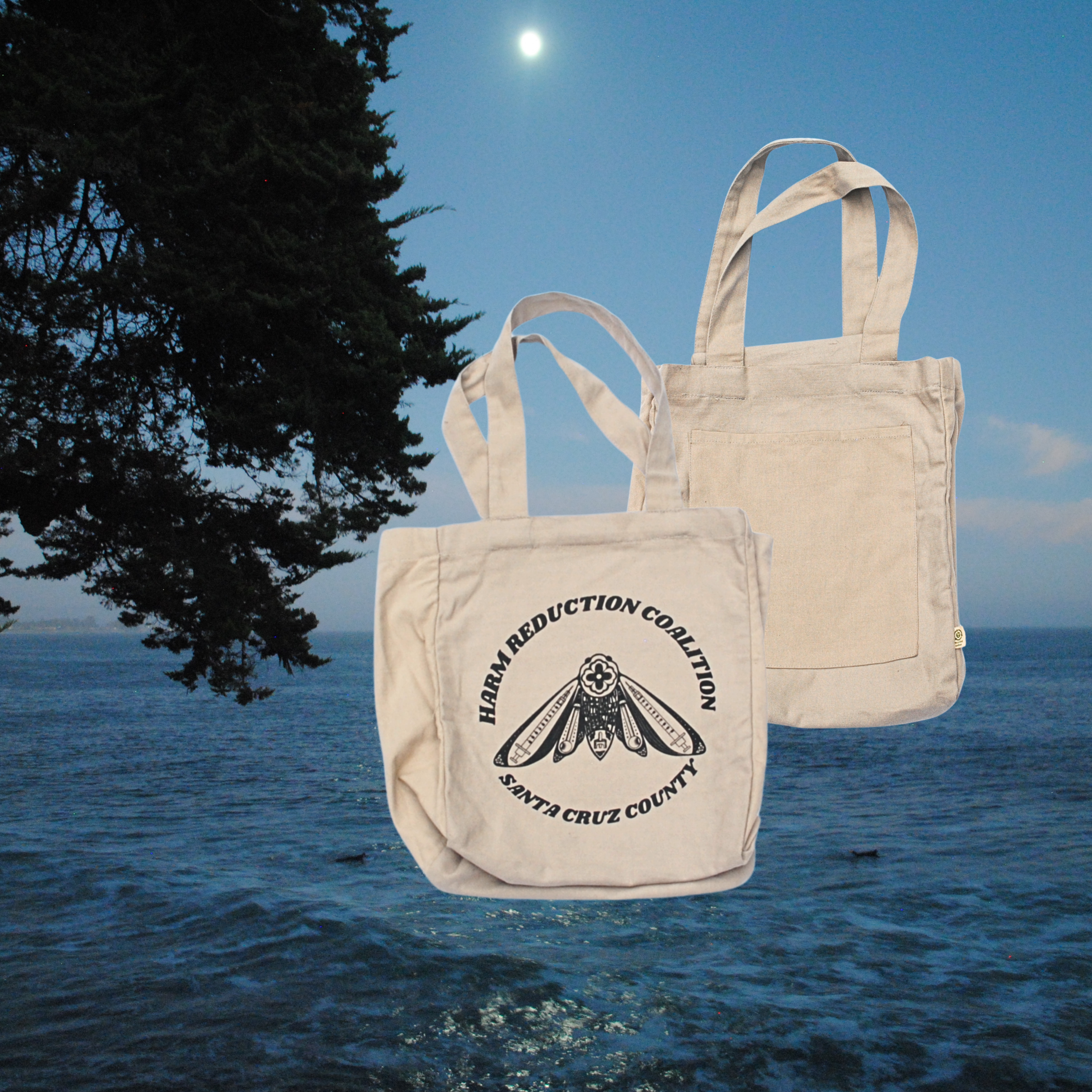 16_tan tote bag.png