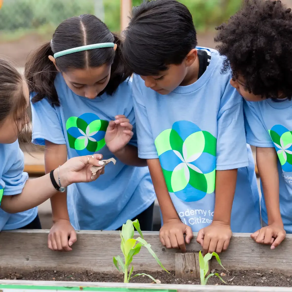 Academy for Global Citizenship