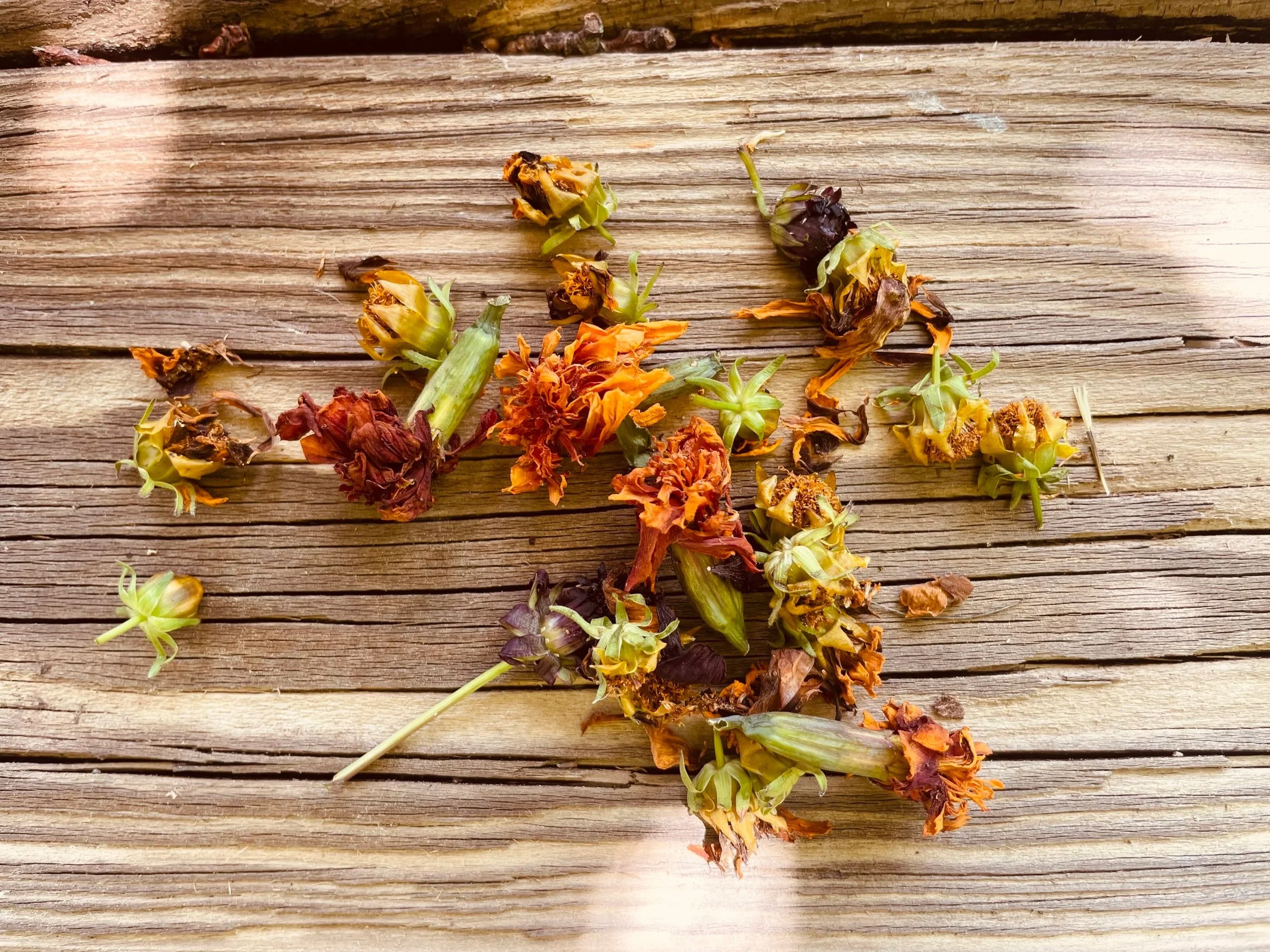 Do you grow your own plant material?