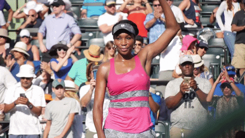 Venus Williams-Miami Open.gif