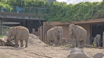 Frederiksberg garden