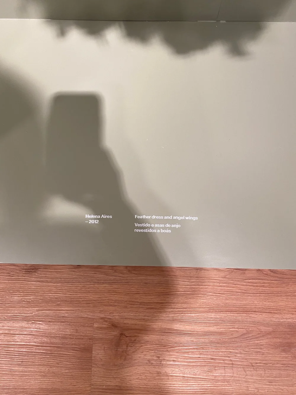 IMG_6354.jpeg
