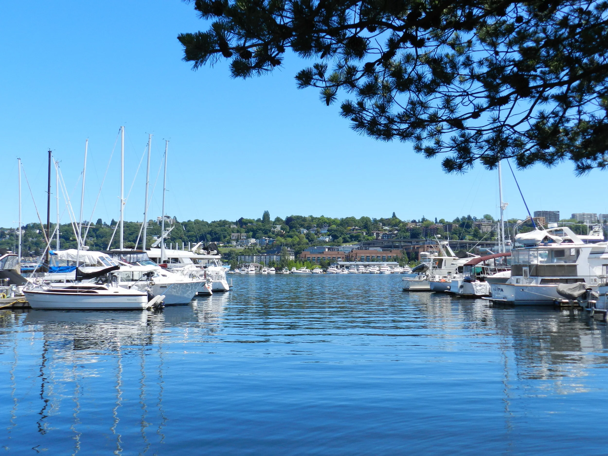 06-12_wpgc_luncheon_view.jpg