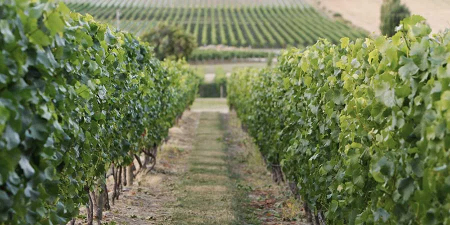  Resourceful, we offer a great range of the finest operators 