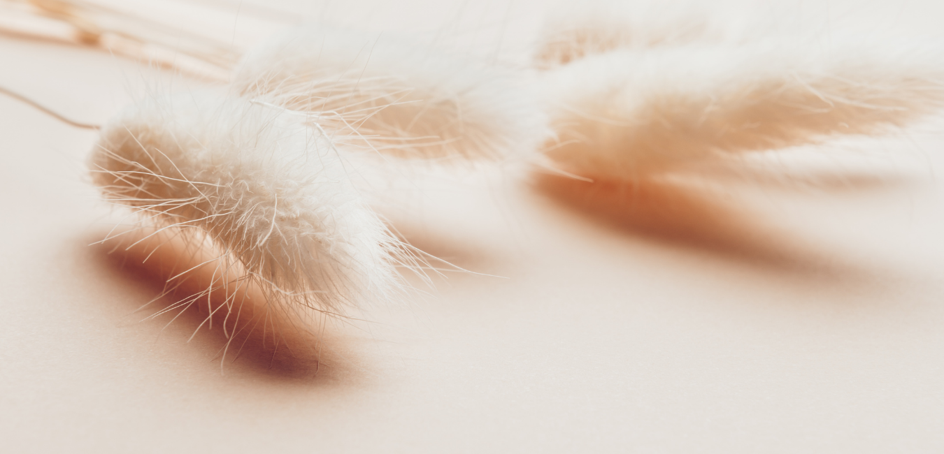 Untitled design (1).png