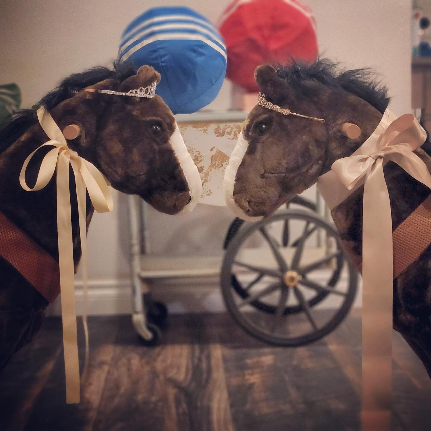 You asked, and I will be delivering! Since I reached 10k followers, you will be receiving a brand new, head-to-head video competition from your favorite toy horses! Yup, there&rsquo;s TWO! Can you guess the theme??

#joustingcompetition #toyhorse #wa