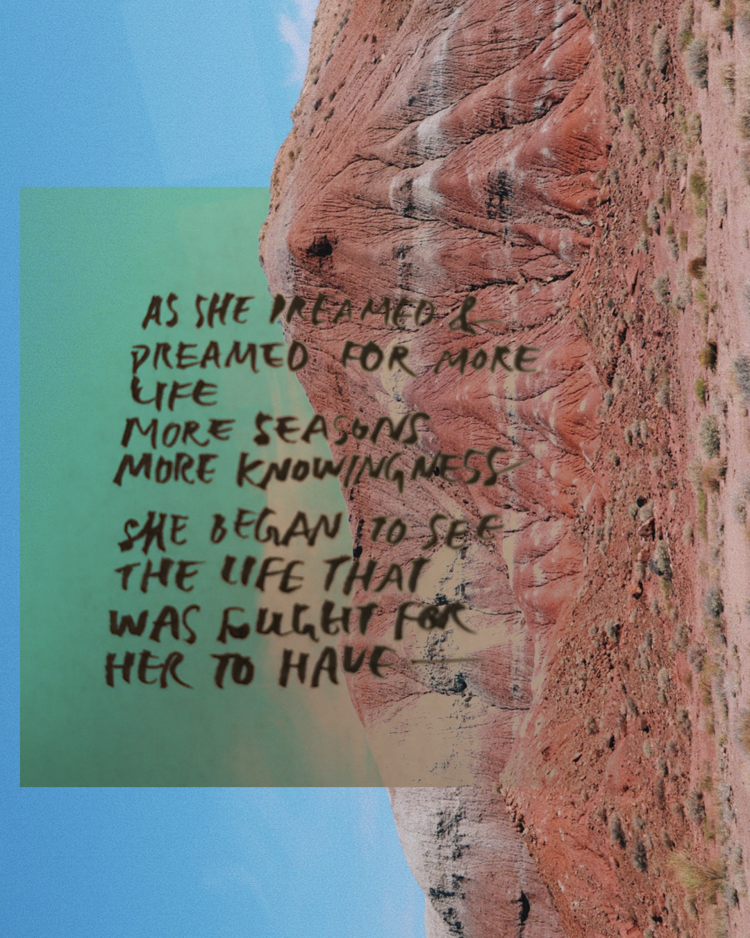 IMG_1916.PNG