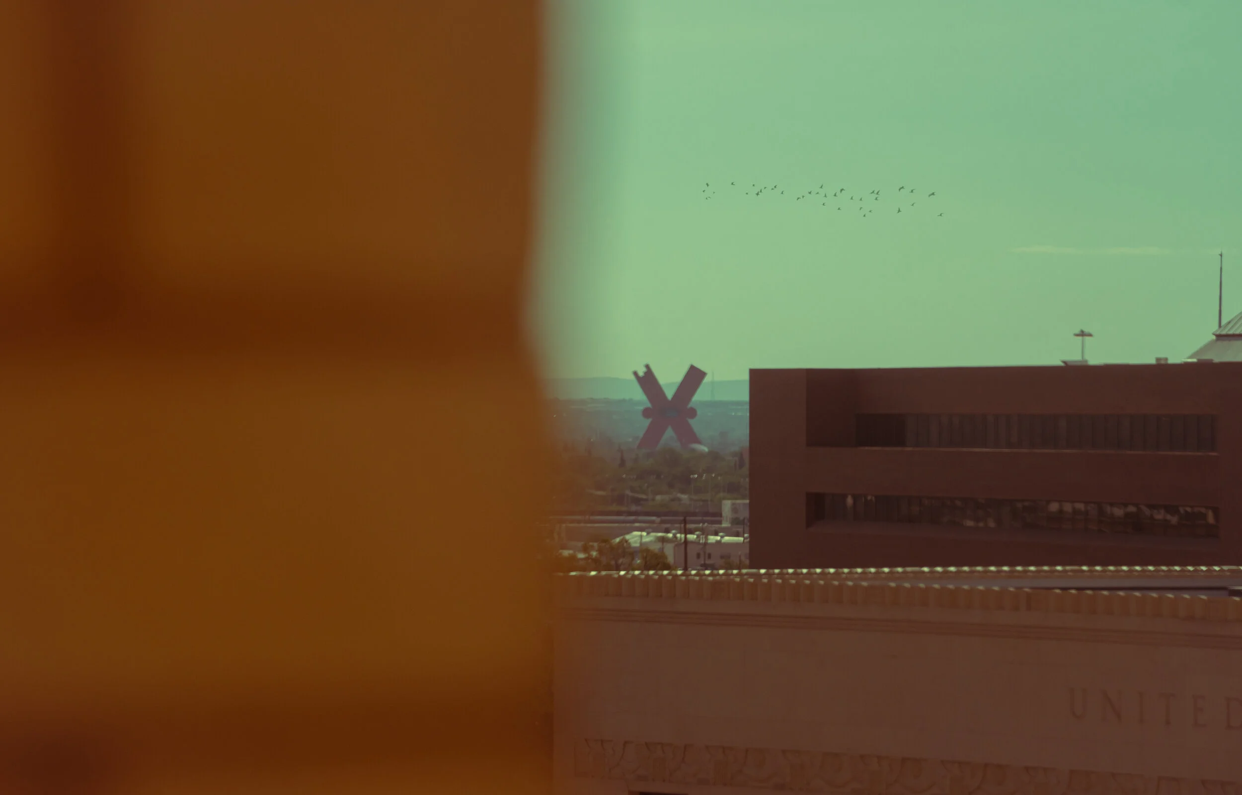 1985 birds medium.jpg