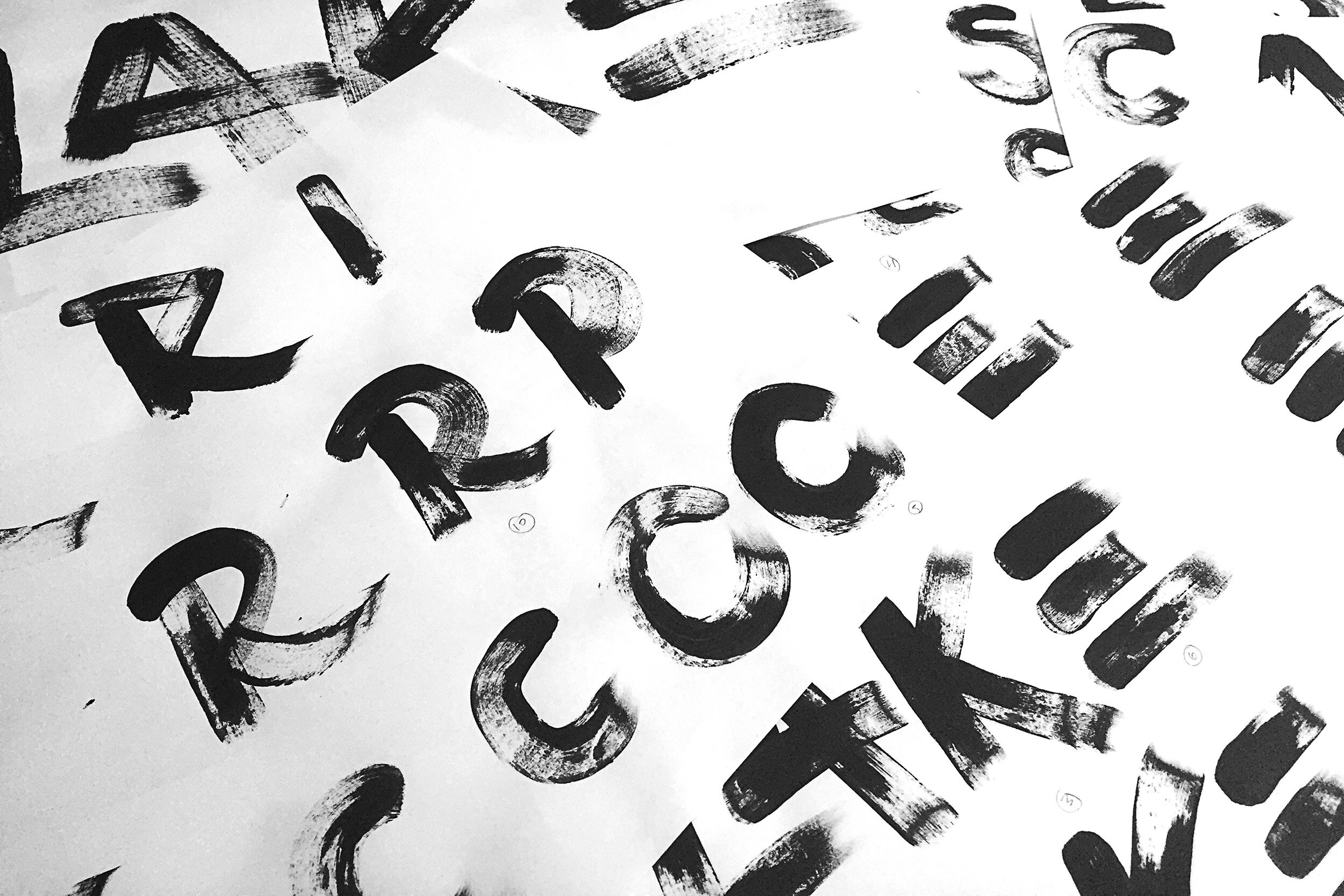 Branding and Packaging