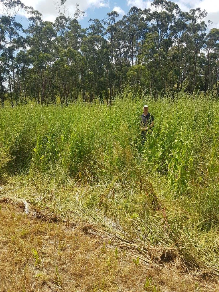 Niels in Crop.jpg