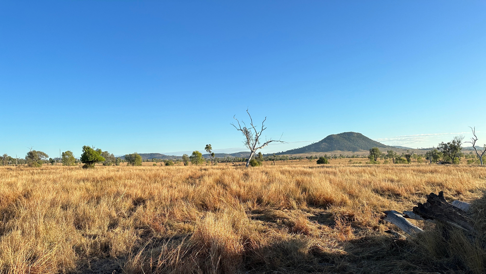  Photo: Demonstration site Tarramba, Queensland  