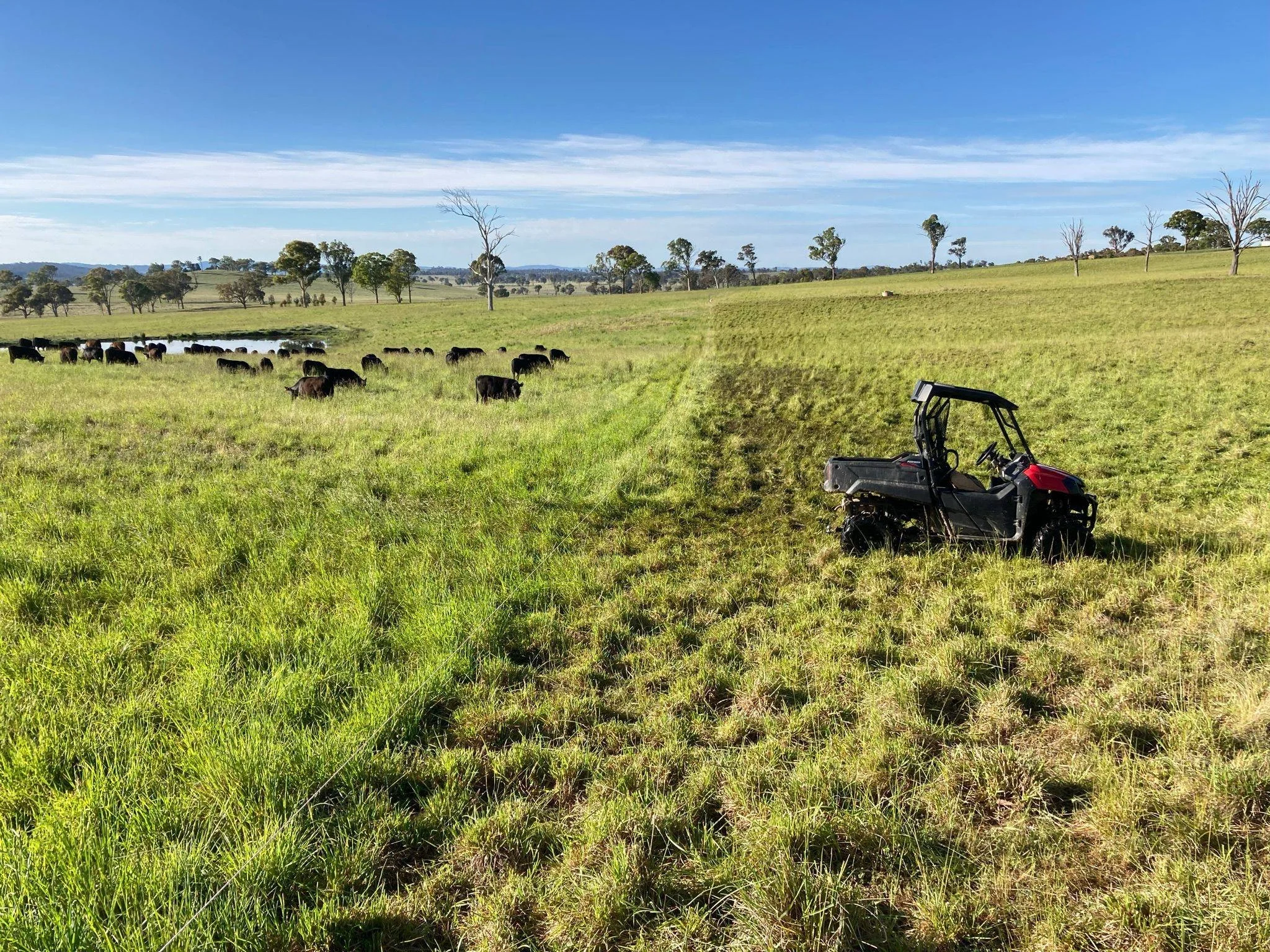 3927a349-873c-4f14-a2a9-472ae0117b6c (1).jpg