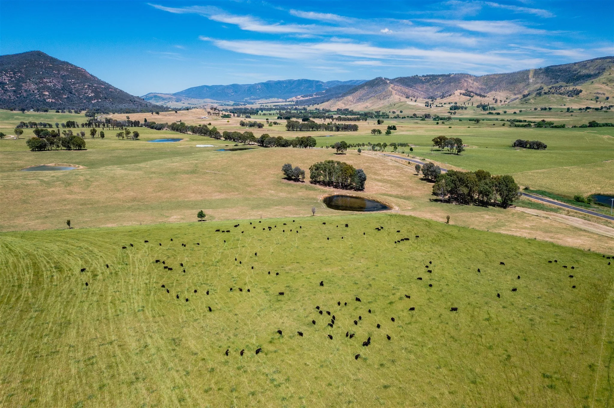 AGRIPROVE_COSTELLOFARM_MattBeaver_DJI_0159_FINAL.jpg