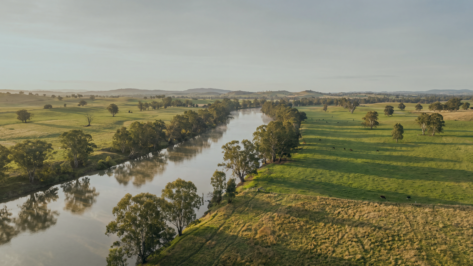 Murray River photo - lp.png