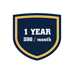 1 YEAR SHIELD A.png