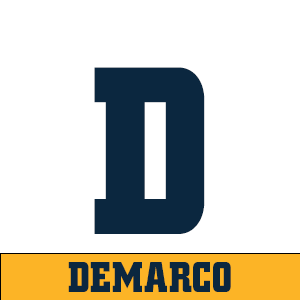 D-SOLD.png