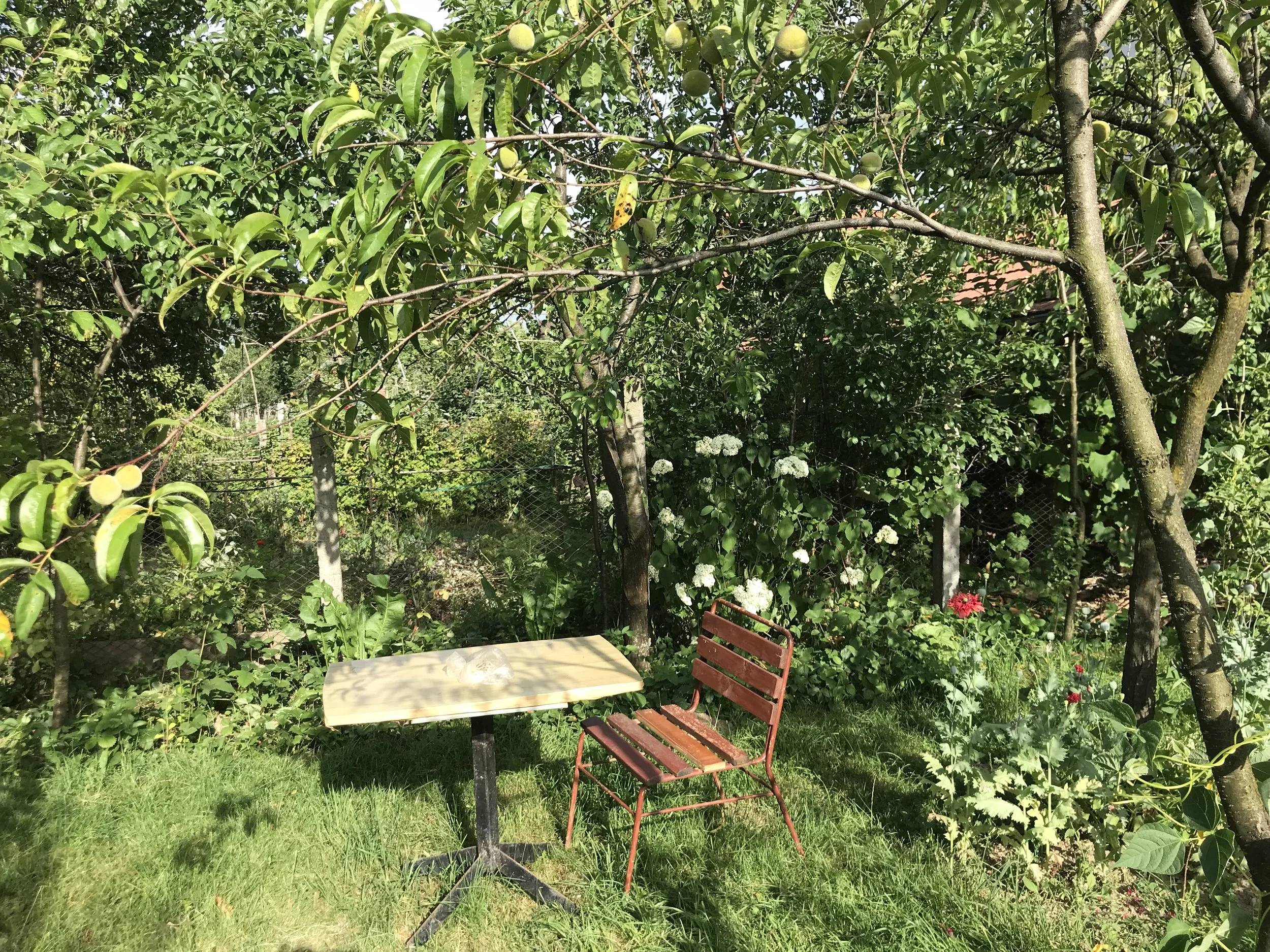 IMG_4454.jpeg