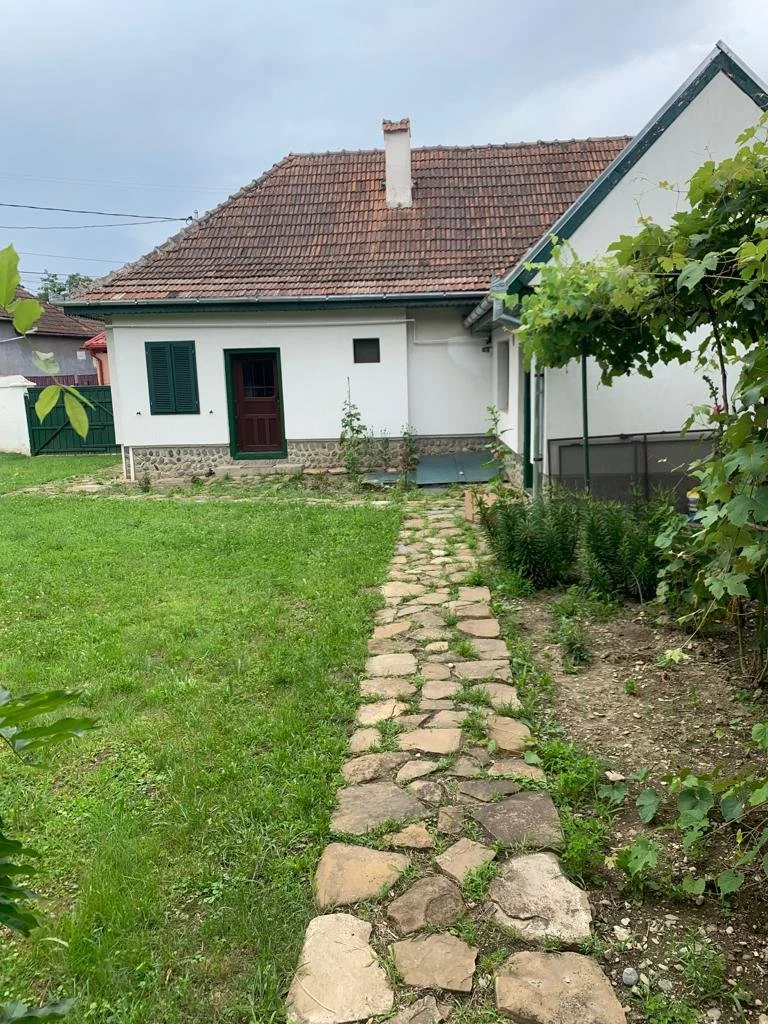 Buni's garden 5.JPG