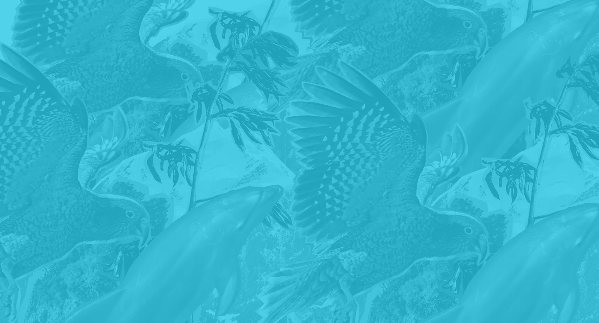 The Hive_Website Banner_Homepage.jpg
