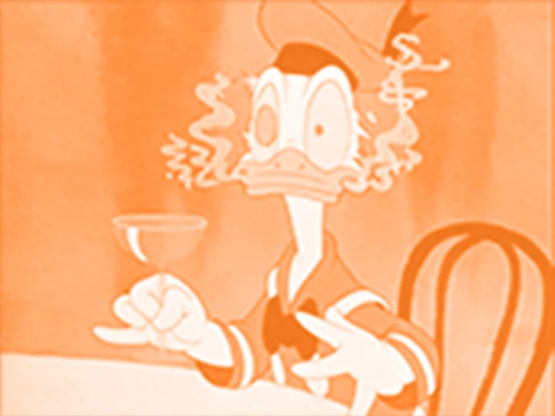 What even is Biodiversity?