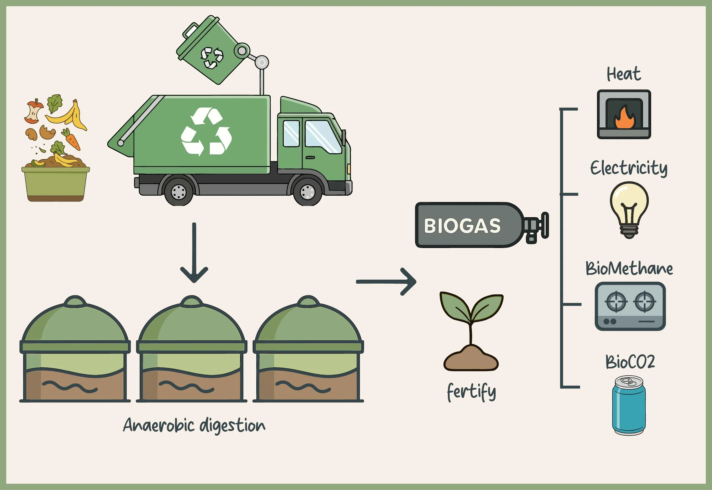 Diagram demonstrating the steps involved in anaerobic digestion