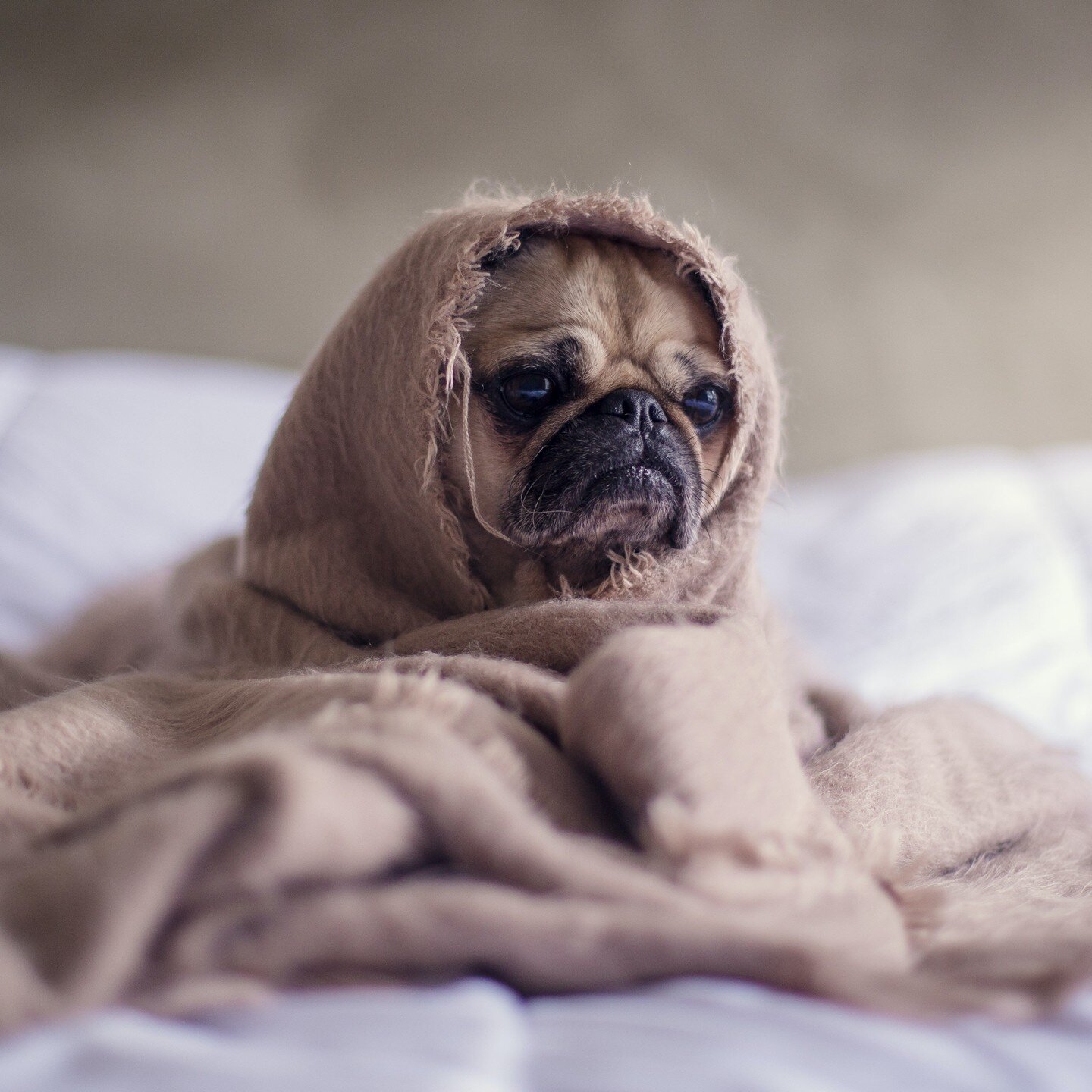 Do rising interest rates have you feeling anxious about your mortgage repayments? 😬

As much as we all feel the impulse to curl up in a blanket in response to certain challenges (particularly this winter! 🥶), it helps to be proactive.

Below are 3 