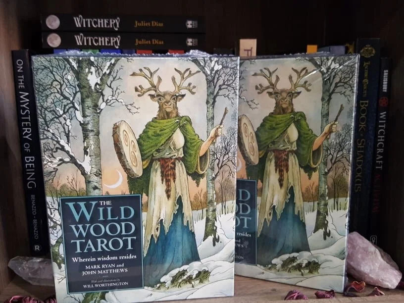 The Wild Wood Tarot Deck Harry S World South Street Harry S World South St