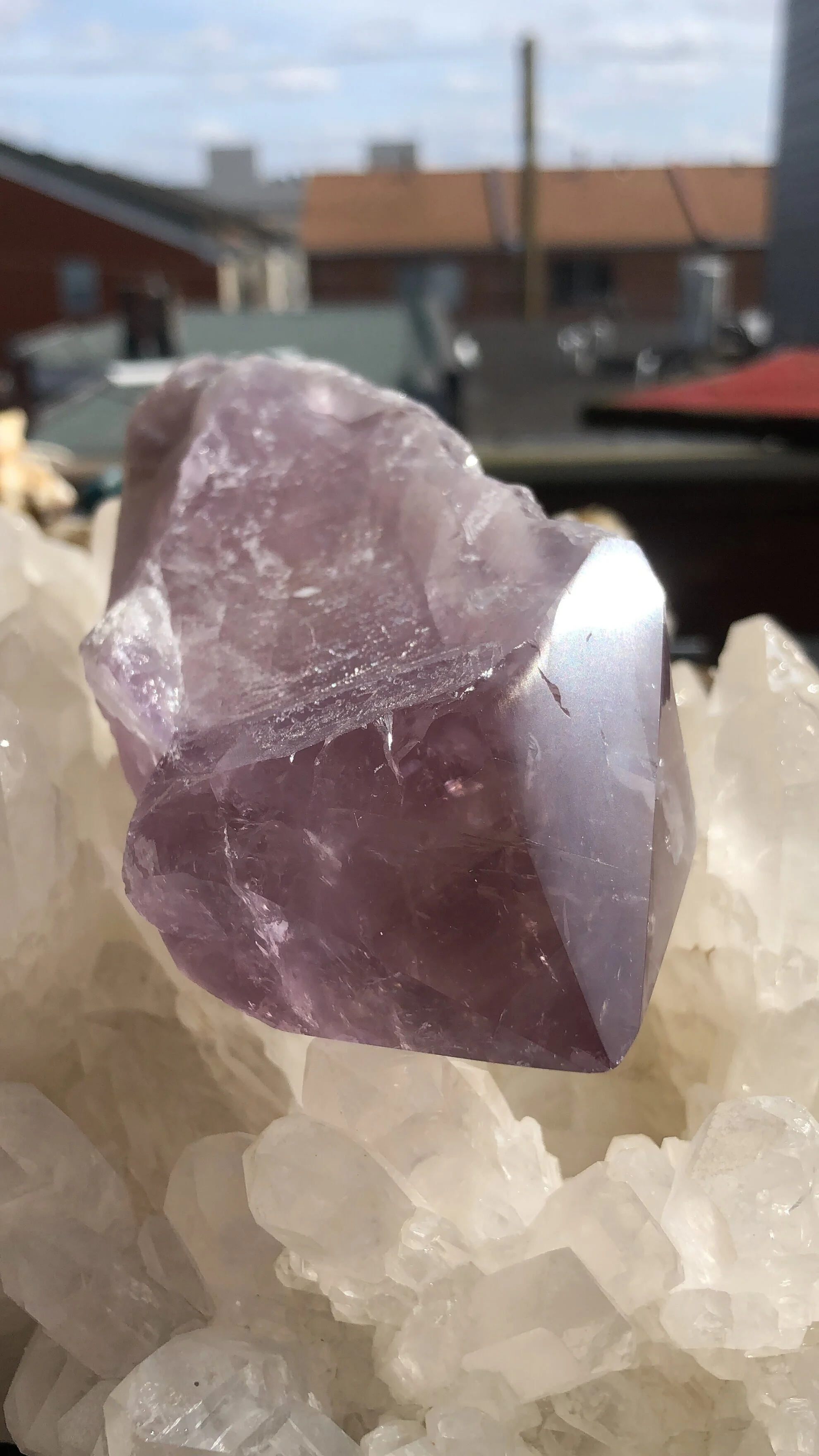 DEEA79DD-A05D-4F39-9005-754C6DEDC5EF