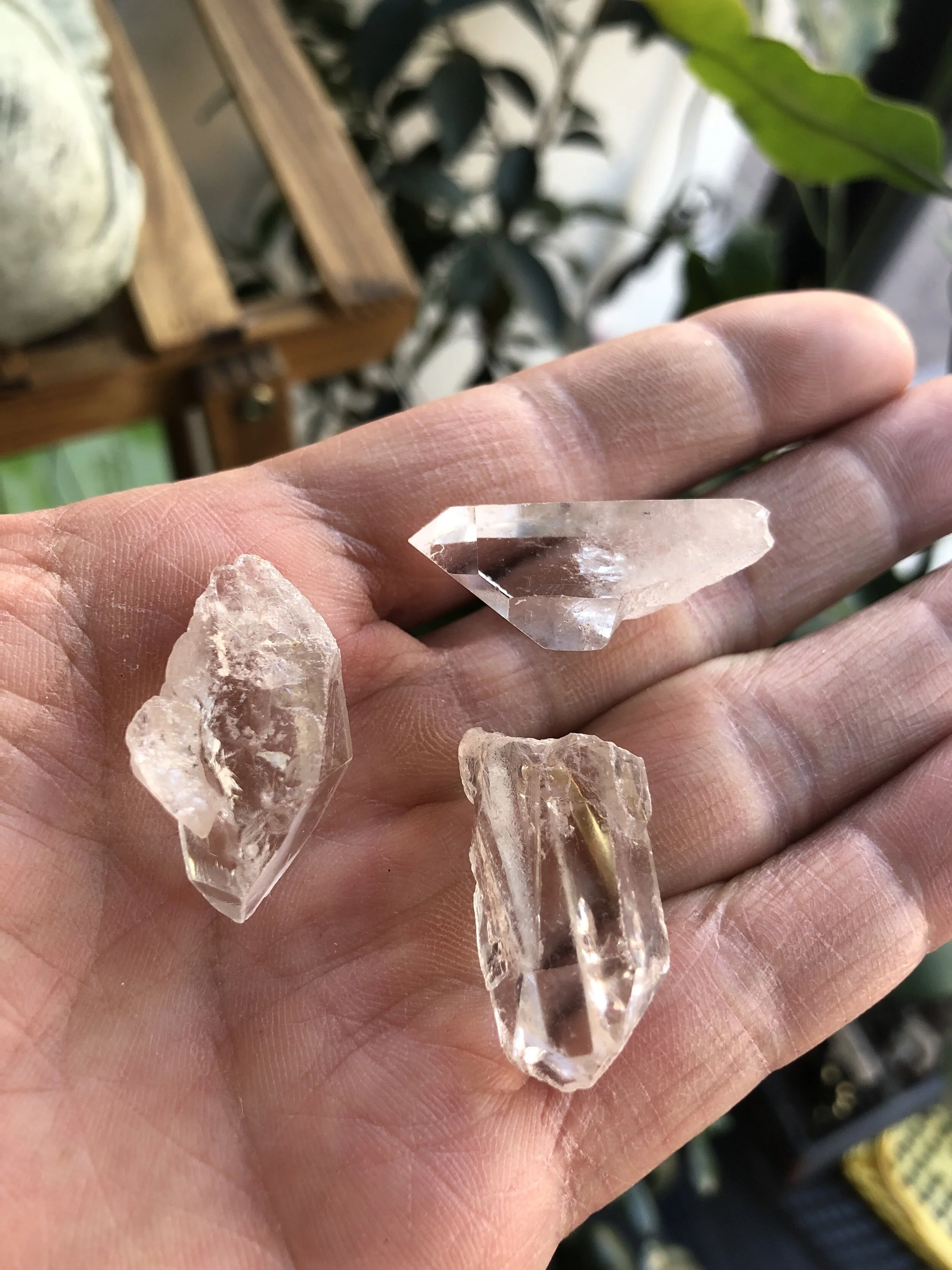 0F78ABA2-539C-4D06-B4CC-5135441D2669